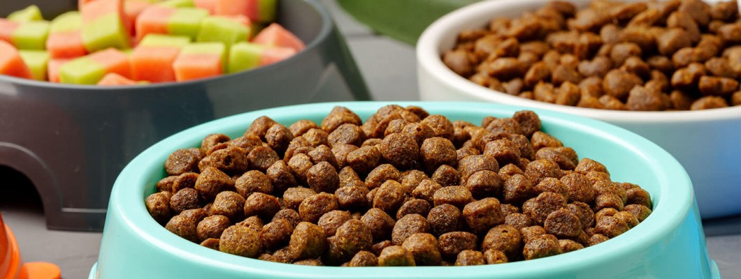 Factors Shaping Pet Owners' Food Preferences