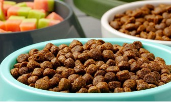 Factors Shaping Pet Owners' Food Preferences